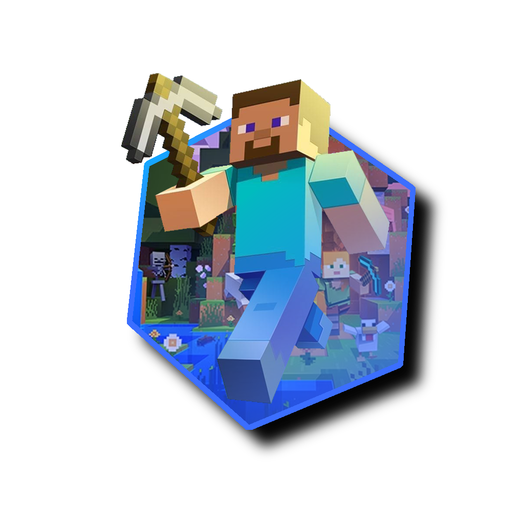 Serveur Minecraft Java Hosting